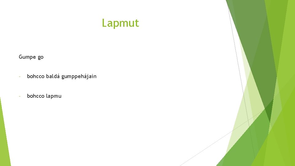 Lapmut Gumpe go - bohcco baldá gumppehájain - bohcco lapmu 