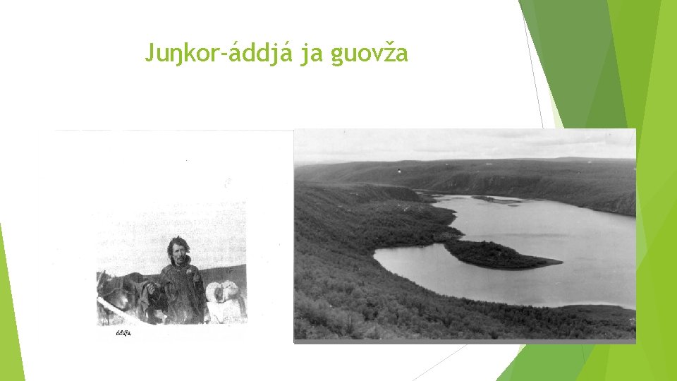 Juŋkor-áddjá ja guovža 