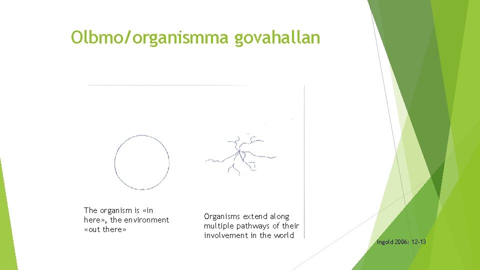 Olbmo/organismma govahallan The organism is «in here» , the environment «out there» Organisms extend