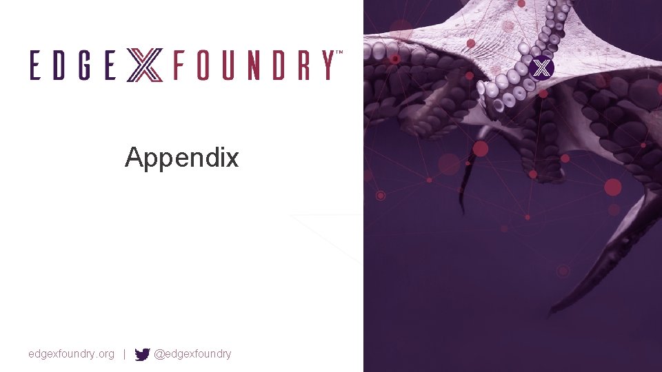Appendix edgexfoundry. org | @edgexfoundry 