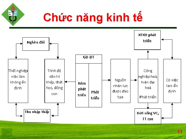 Chức năng kinh tế 11 