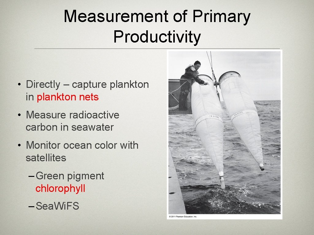 Measurement of Primary Productivity • Directly – capture plankton in plankton nets • Measure