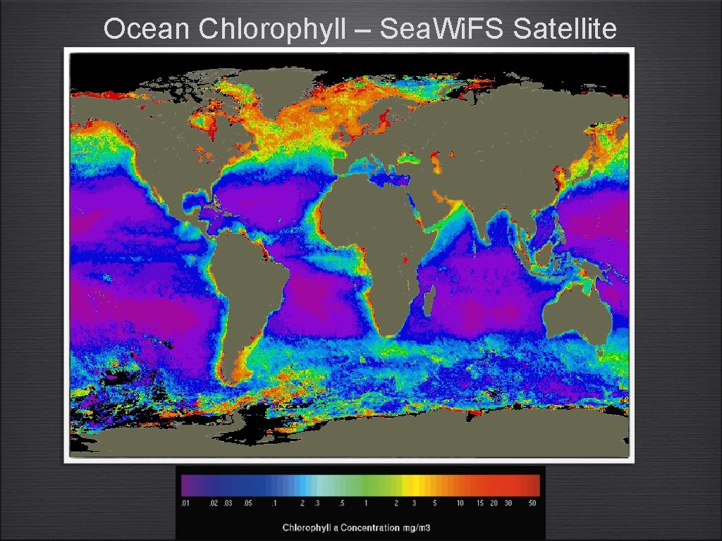 Ocean Chlorophyll – Sea. Wi. FS Satellite 