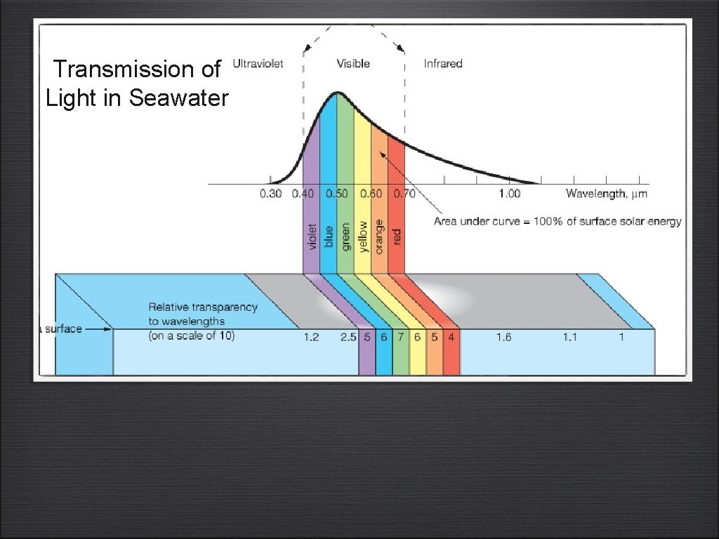 Transmission of Light in Seawater 