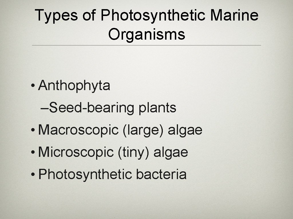 Types of Photosynthetic Marine Organisms • Anthophyta –Seed-bearing plants • Macroscopic (large) algae •