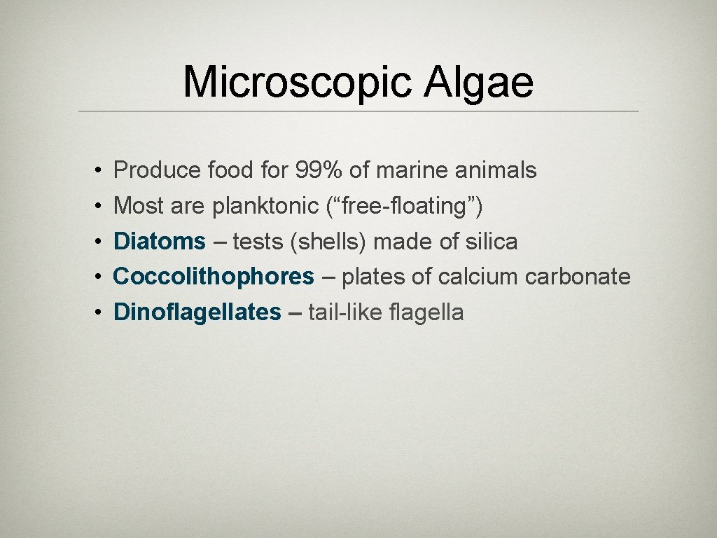 Microscopic Algae • • • Produce food for 99% of marine animals Most are