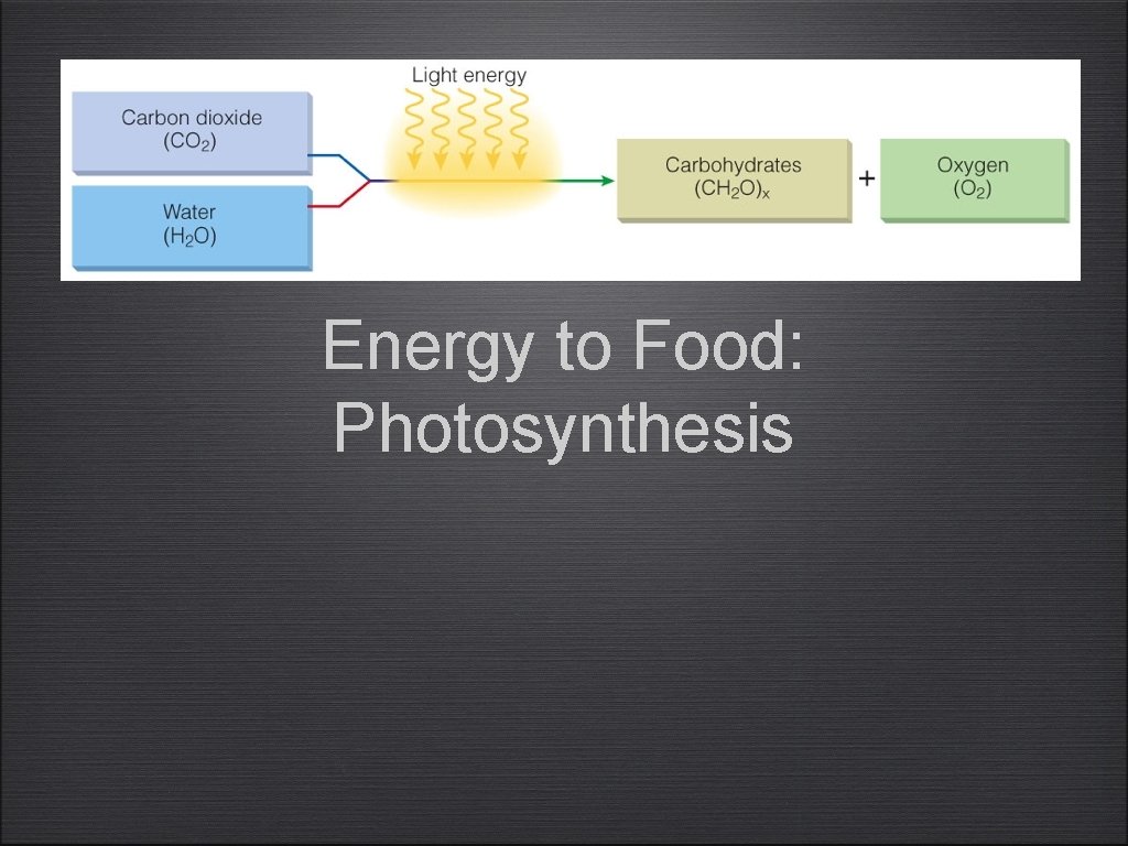 Energy to Food: Photosynthesis 