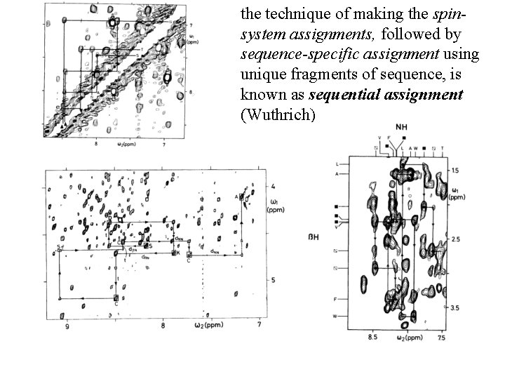 the technique of making the spinsystem assignments, followed by sequence-specific assignment using unique fragments