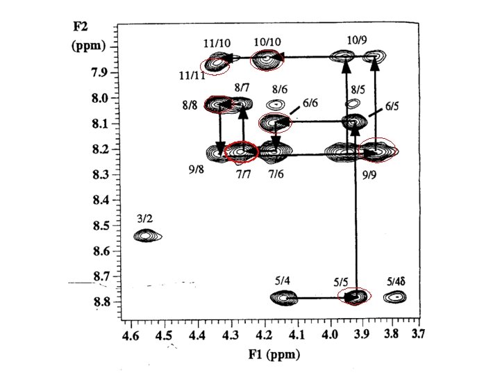 Protein Structure Determination by NMR Spectroscopy 1 D