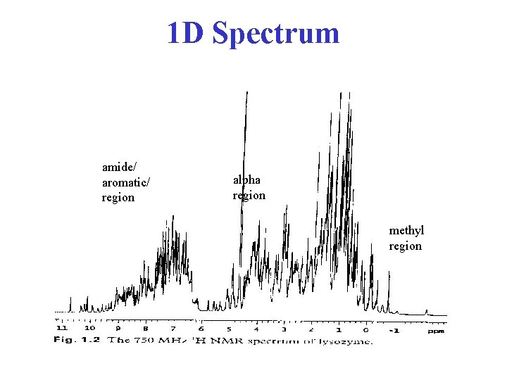 1 D Spectrum amide/ aromatic/ region alpha region methyl region 