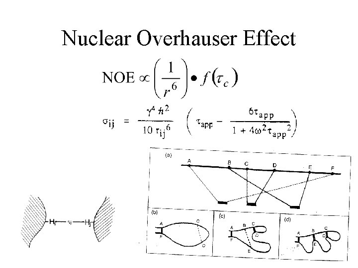 Nuclear Overhauser Effect 