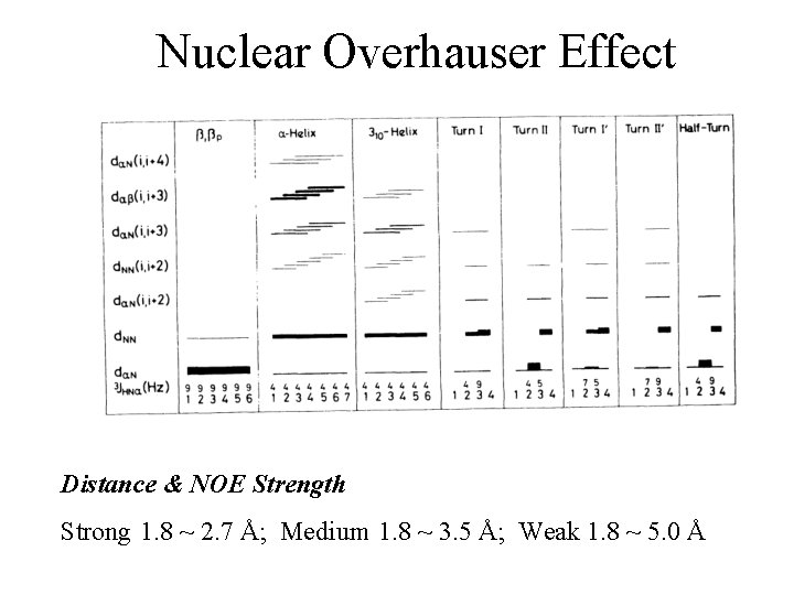 Nuclear Overhauser Effect Distance & NOE Strength Strong 1. 8 ~ 2. 7 Å;