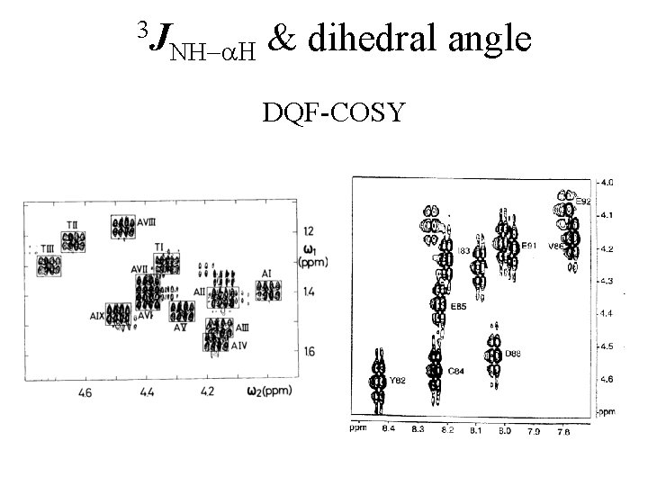 3 J NH-a. H & dihedral angle DQF-COSY 