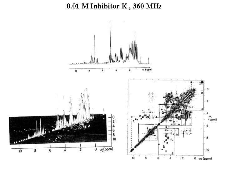 Protein Structure Determination by NMR Spectroscopy 1 D