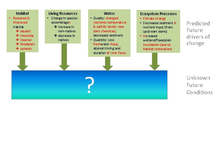 Habitat • Restored & improved habitat v aquatic v intertidal v riparian v floodplain
