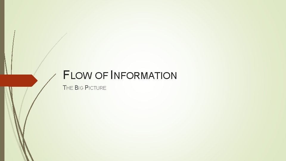 FLOW OF INFORMATION THE BIG PICTURE 