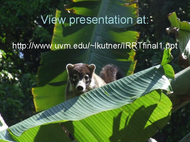 View presentation at: http: //www. uvm. edu/~lkutner/IRRTfinal 1. ppt 