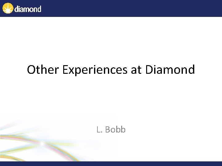 Other Experiences at Diamond L. Bobb 
