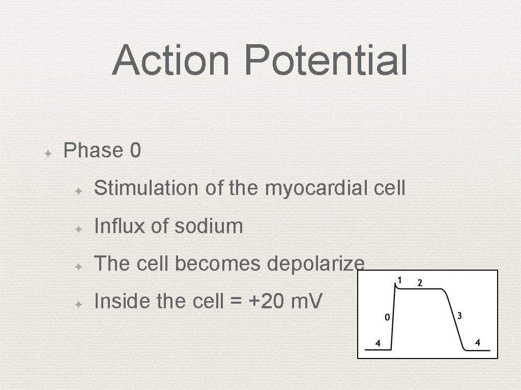 Action Potential ✦ Phase 0 ✦ Stimulation of the myocardial cell ✦ Influx of