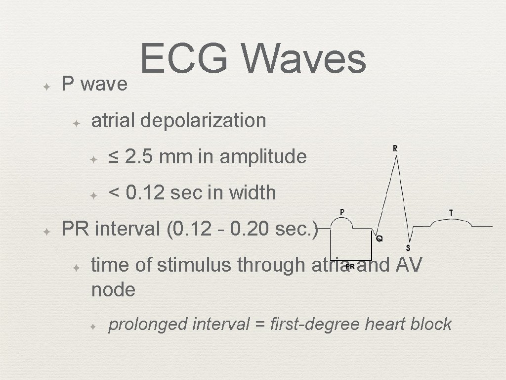 ✦ ECG Waves P wave ✦ ✦ atrial depolarization ✦ ≤ 2. 5 mm