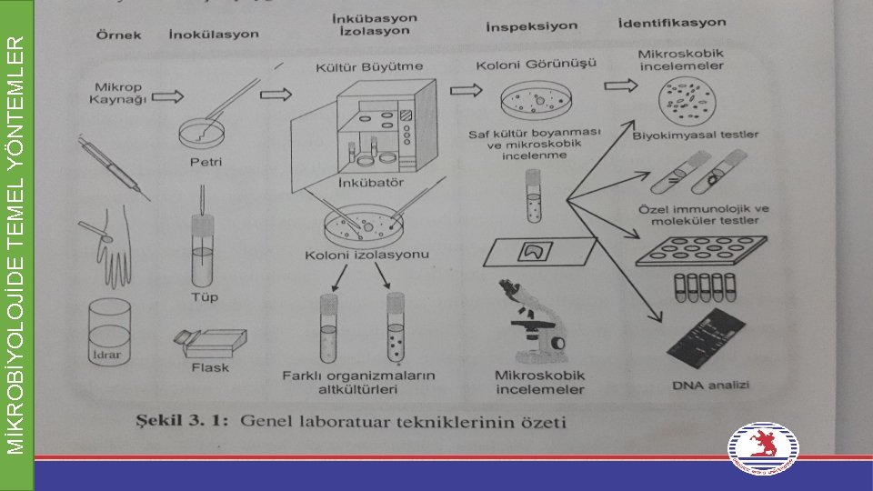 MİKROBİYOLOJİDE TEMEL YÖNTEMLER 