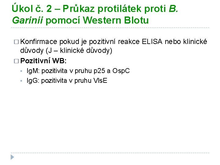 Úkol č. 2 – Průkaz protilátek proti B. Garinii pomocí Western Blotu � Konfirmace