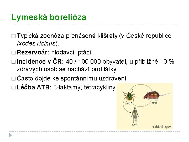 Lymeská borelióza � Typická zoonóza přenášená klíšťaty (v České republice Ixodes ricinus). � Rezervoár: