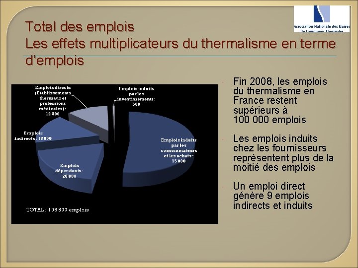 Total des emplois Les effets multiplicateurs du thermalisme en terme d’emplois Fin 2008, les