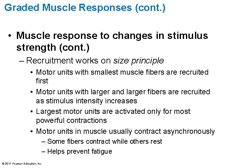Graded Muscle Responses (cont. ) • Muscle response to changes in stimulus strength (cont. Graded Muscle Responses (cont. ) • Muscle response to changes in stimulus strength (cont.