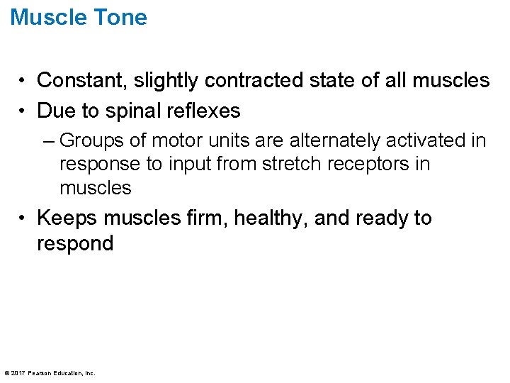 Muscle Tone • Constant, slightly contracted state of all muscles • Due to spinal Muscle Tone • Constant, slightly contracted state of all muscles • Due to spinal