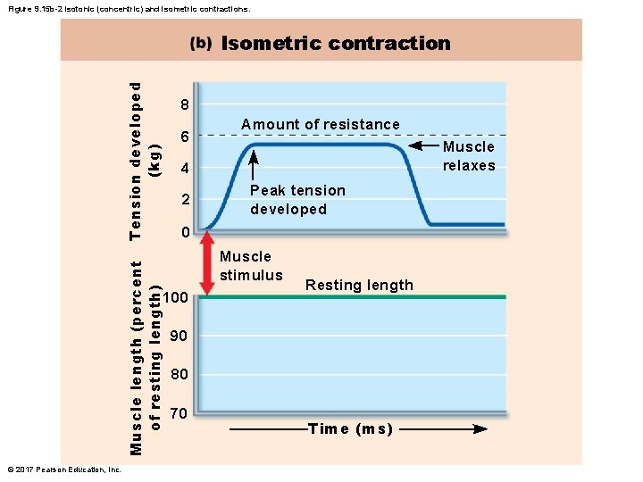 Figure 9. 15 b-2 Isotonic (concentric) and isometric contractions. Muscle length (percent of resting Figure 9. 15 b-2 Isotonic (concentric) and isometric contractions. Muscle length (percent of resting