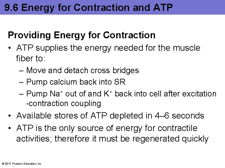 9. 6 Energy for Contraction and ATP Providing Energy for Contraction • ATP supplies 9. 6 Energy for Contraction and ATP Providing Energy for Contraction • ATP supplies