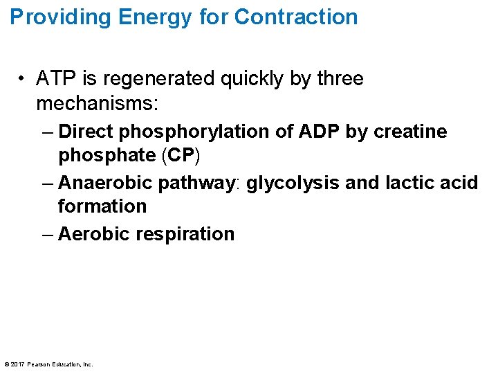 Providing Energy for Contraction • ATP is regenerated quickly by three mechanisms: – Direct Providing Energy for Contraction • ATP is regenerated quickly by three mechanisms: – Direct