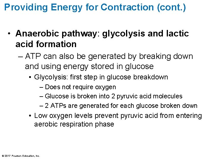 Providing Energy for Contraction (cont. ) • Anaerobic pathway: glycolysis and lactic acid formation Providing Energy for Contraction (cont. ) • Anaerobic pathway: glycolysis and lactic acid formation