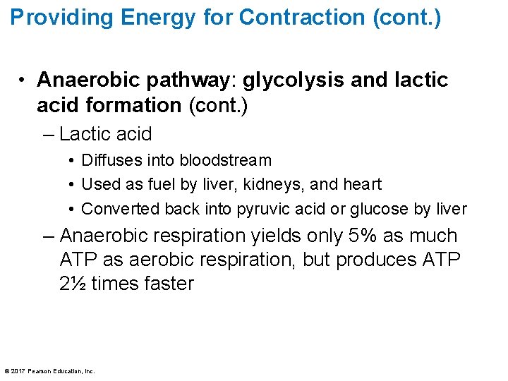 Providing Energy for Contraction (cont. ) • Anaerobic pathway: glycolysis and lactic acid formation Providing Energy for Contraction (cont. ) • Anaerobic pathway: glycolysis and lactic acid formation