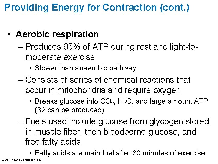 Providing Energy for Contraction (cont. ) • Aerobic respiration – Produces 95% of ATP Providing Energy for Contraction (cont. ) • Aerobic respiration – Produces 95% of ATP