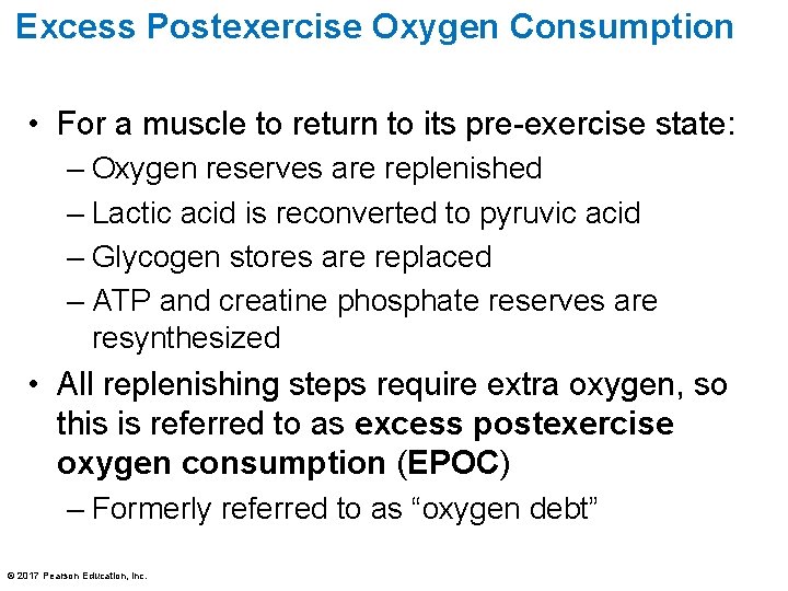 Excess Postexercise Oxygen Consumption • For a muscle to return to its pre-exercise state: Excess Postexercise Oxygen Consumption • For a muscle to return to its pre-exercise state: