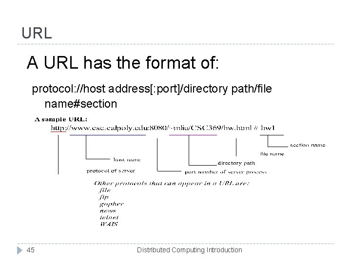 URL A URL has the format of: protocol: //host address[: port]/directory path/file name#section 45