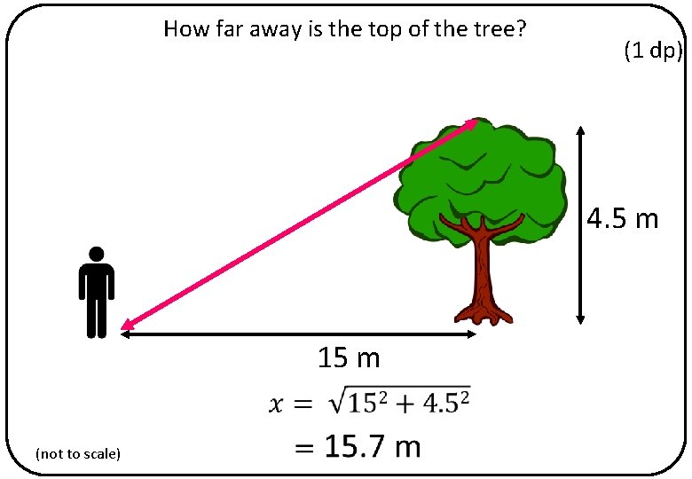 How far away is the top of the tree? (1 dp) 4. 5 m