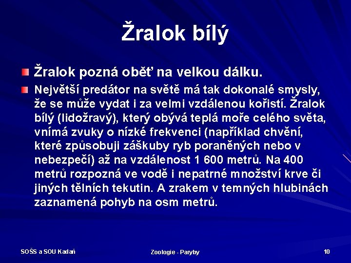 Žralok bílý Žralok pozná oběť na velkou dálku. Největší predátor na světě má tak