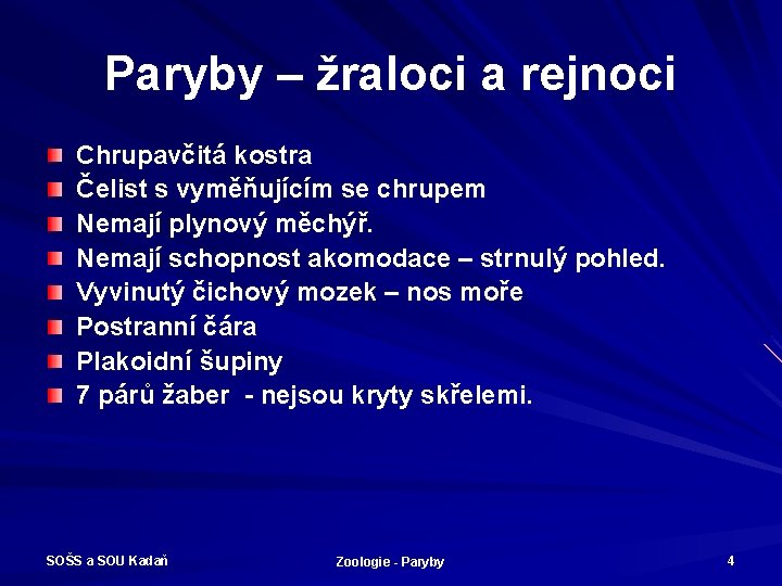 Paryby – žraloci a rejnoci Chrupavčitá kostra Čelist s vyměňujícím se chrupem Nemají plynový