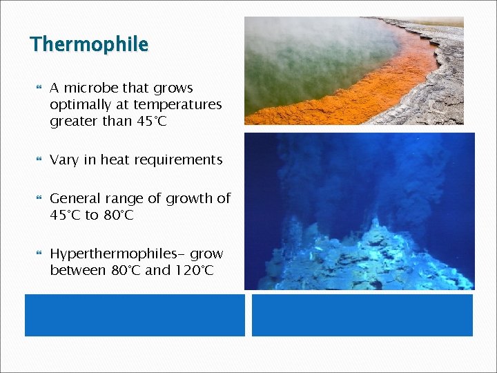 Thermophile A microbe that grows optimally at temperatures greater than 45°C Vary in heat