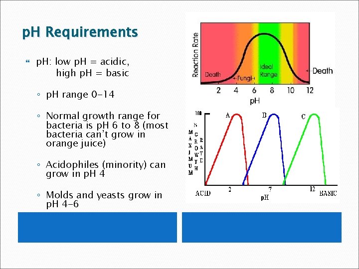 p. H Requirements p. H: low p. H = acidic, high p. H =