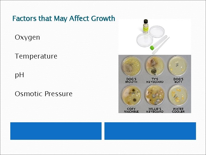 Factors that May Affect Growth Oxygen Temperature p. H Osmotic Pressure 