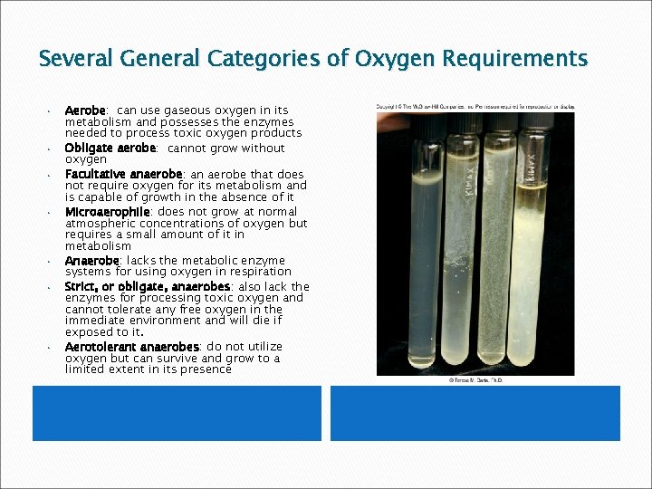 Several General Categories of Oxygen Requirements • • Aerobe: can use gaseous oxygen in