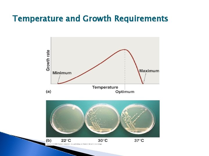 Temperature and Growth Requirements [INSERT FIGURE 6. 4] 