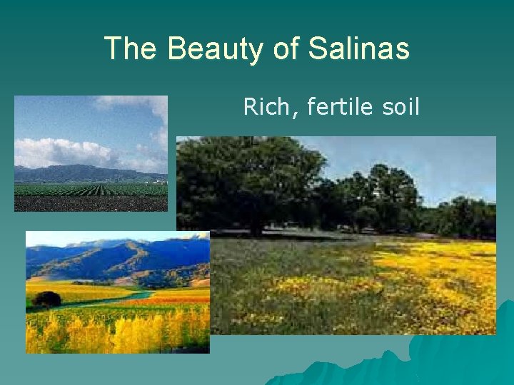 The Beauty of Salinas u Rich, fertile soil 