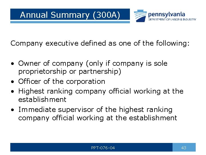 Annual Summary (300 A) Company executive defined as one of the following: • Owner