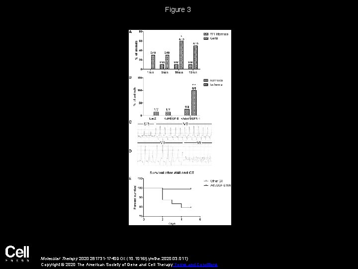 Figure 3 Molecular Therapy 2020 281731 -1740 DOI: (10. 1016/j. ymthe. 2020. 03. 011)