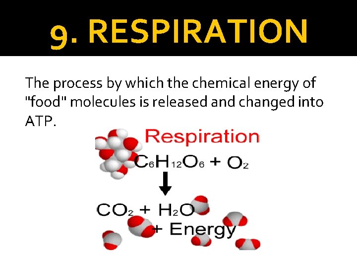 9. RESPIRATION The process by which the chemical energy of "food" molecules is released